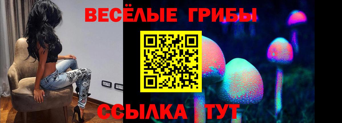 Псилоцибиновые грибы Psilocybine cubensis Рассказово